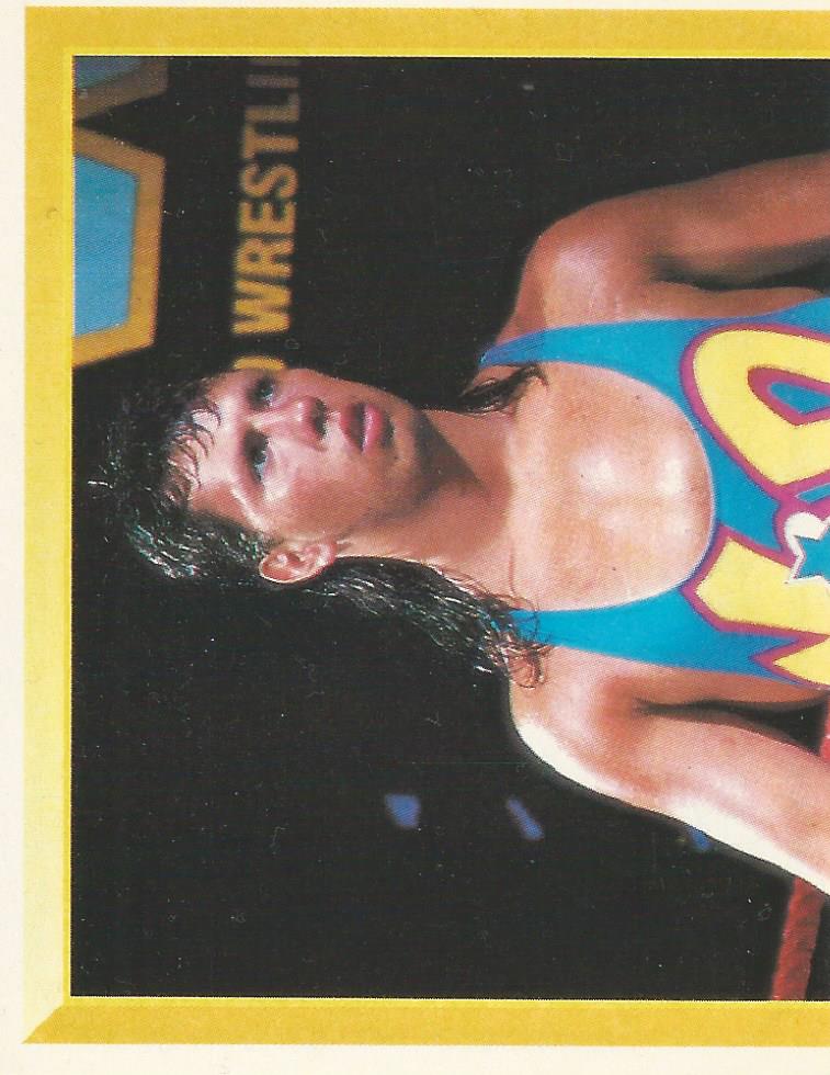 WWF Merlin Sticker Collection 1994 123 Kid No.154