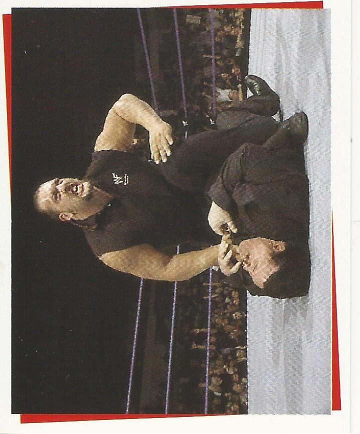 WWF Smackdown Stickers 2000 Big Show No.154