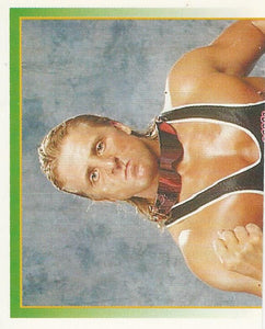 WWF Merlin Stickers 1995 Owen Hart No.154