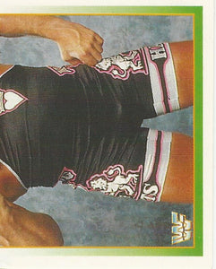 WWF Merlin Stickers 1995 Owen Hart No.155