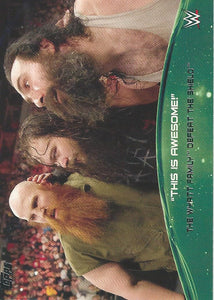 WWE Topps 2015 Trading Card Wyatt Family 7 of 10