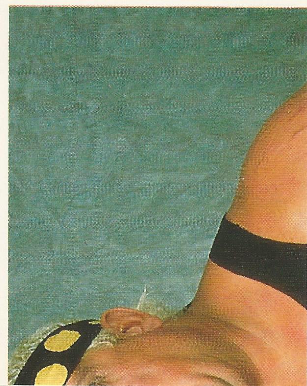 WWF Merlin Sticker Collection 1990 Dusty Rhodes No.158