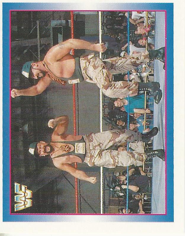 WWF Merlin Stickers 1995 Bushwhackers No.161