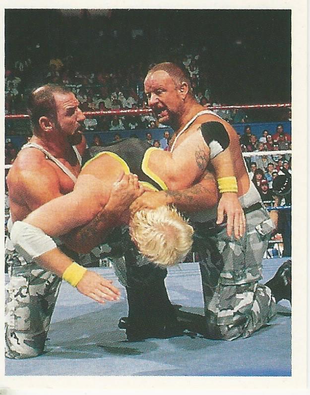 WWF Merlin Stickers 1991 Bushwhackers No.161