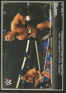 WWE Topps Road to Wrestlemania 2015 Trading Cards The Miz and Damien Sandow No.61