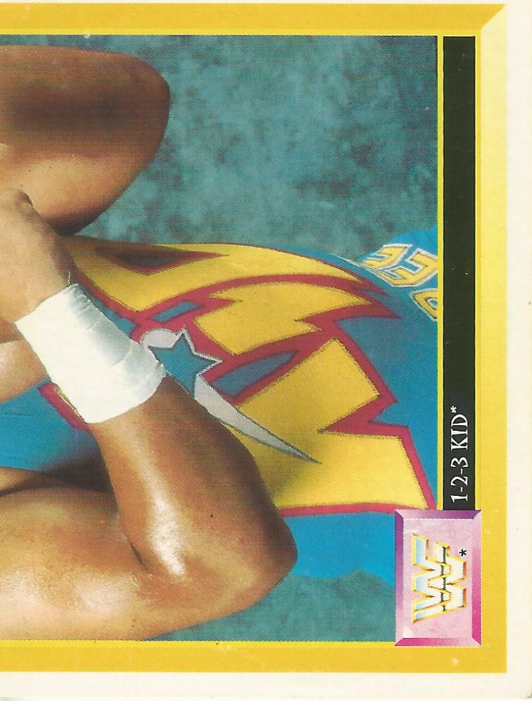 WWF Merlin Sticker Collection 1994 123 Kid No.162