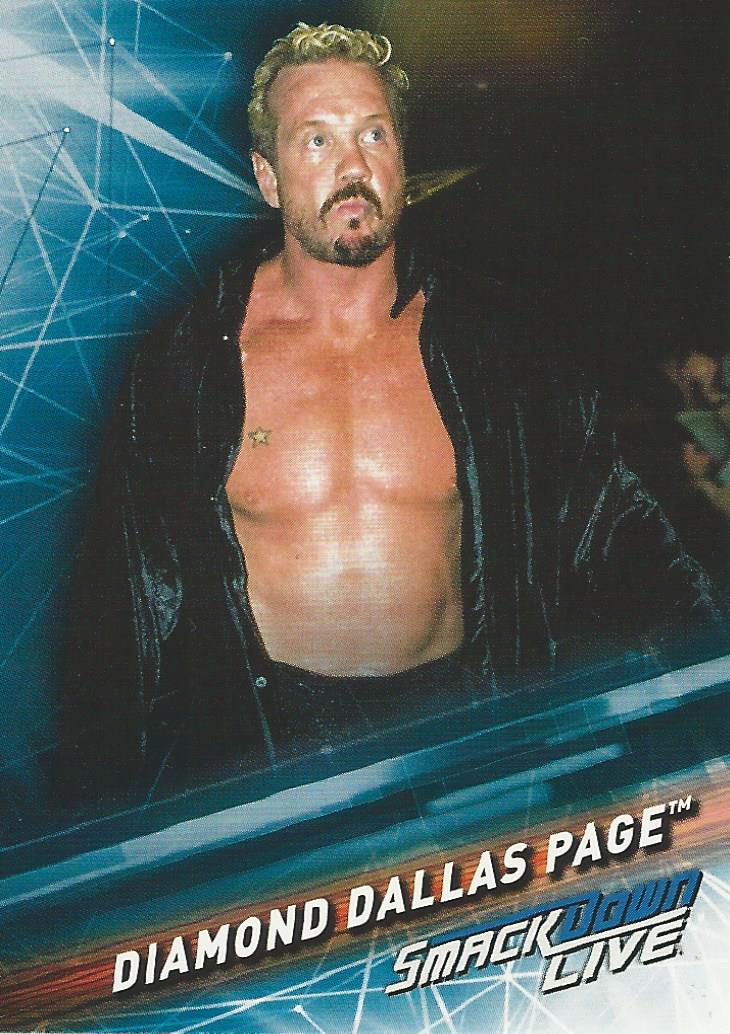 WWE Topps Smackdown 2019 Trading Cards DDP No.72