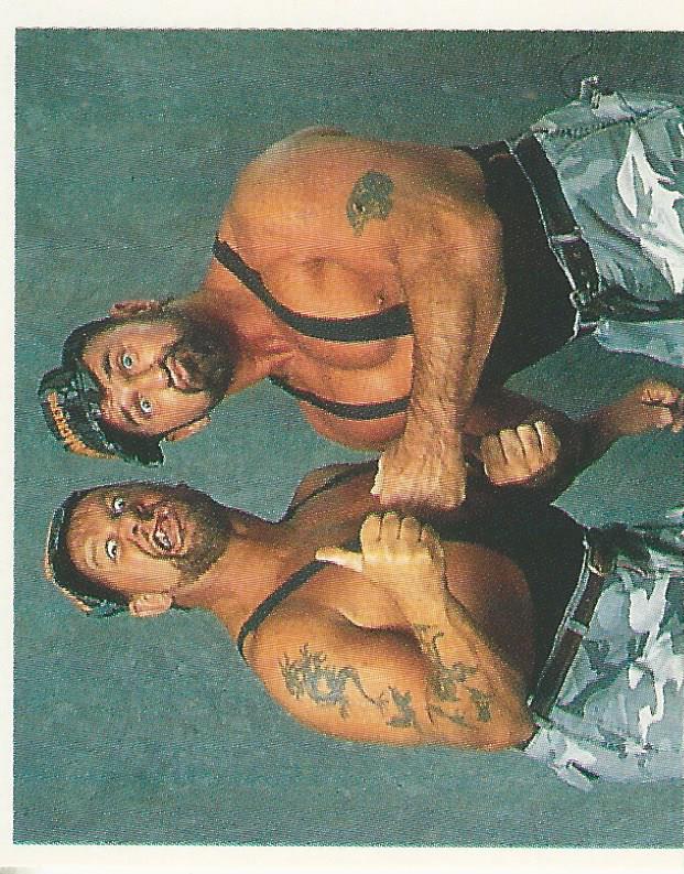 WWF Merlin Stickers 1991 Bushwhackers No.163