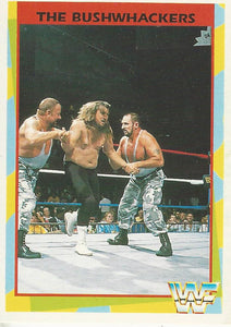 WWF Merlin Trading Card 1995 Bushwhackers No.164