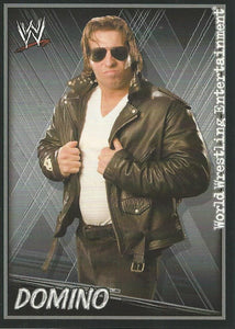 WWE Topps Superstars Uncovered 2007 Sticker Collection Domino No.164