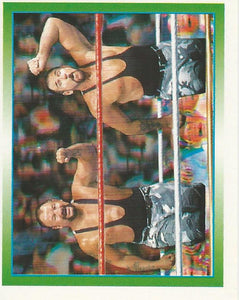 WWF Merlin Stickers 1995 Bushwhackers No.165