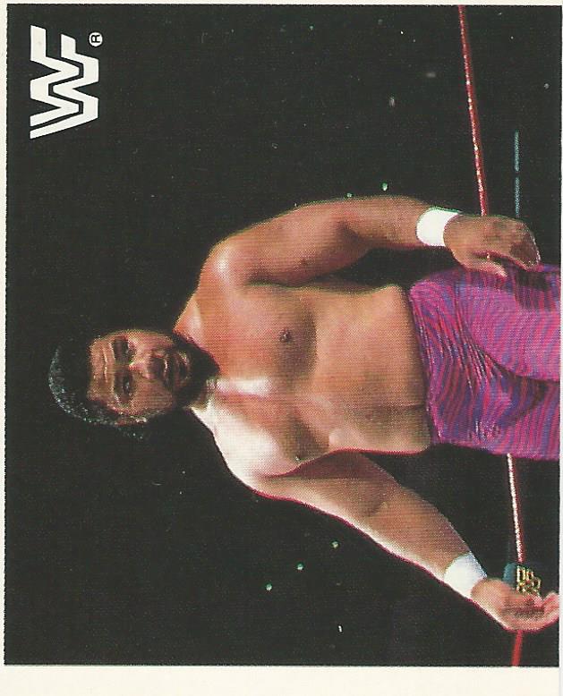 WWF Merlin Sticker Collection 1990 Haku No.166