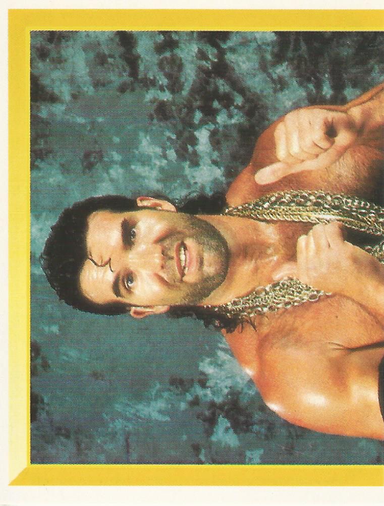 WWF Merlin Sticker Collection 1994 Razor Ramon No.166