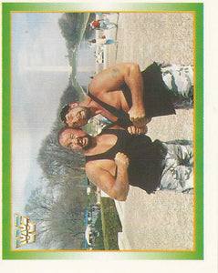 WWF Merlin Stickers 1995 Bushwhackers No.166