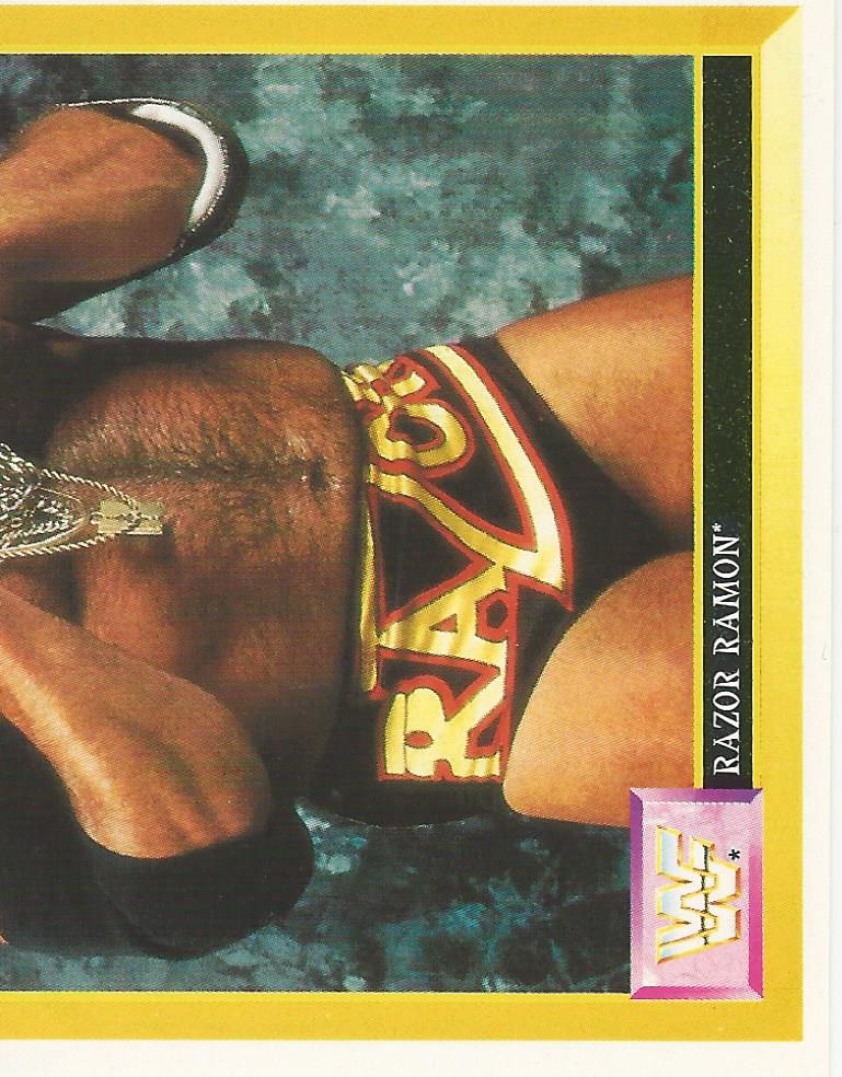 WWF Merlin Sticker Collection 1994 Razor Ramon No.167