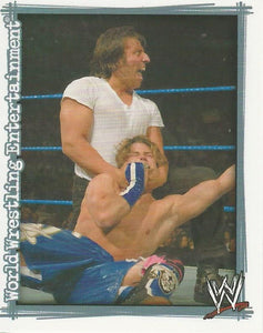 WWE Topps Superstars Uncovered 2007 Sticker Collection Domino No.167