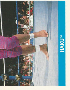 WWF Merlin Sticker Collection 1990 Haku No.167