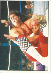 WWF Panini 1995 Sticker Collection Bob Holly No.167