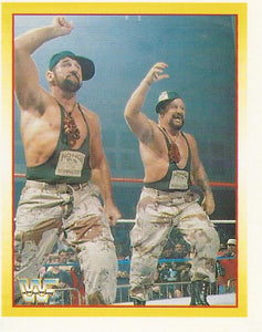 WWF Merlin Stickers 1995 Bushwhackers No.167