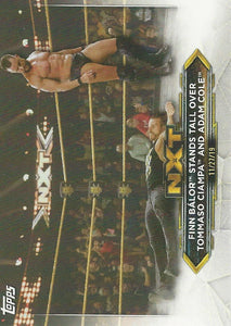 WWE Topps NXT 2020 Trading Cards Finn Balor No.67