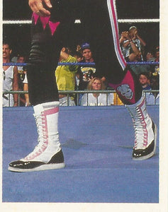 WWF Merlin Stickers 1991 Bret Hart No.168