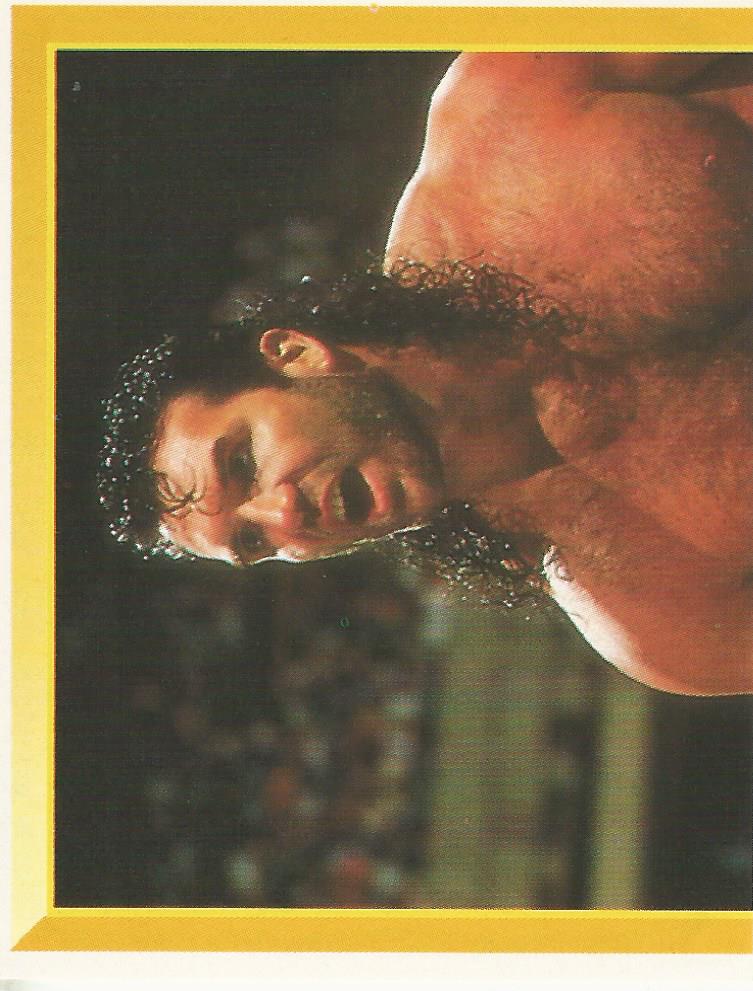 WWF Merlin Sticker Collection 1994 Razor Ramon No.168