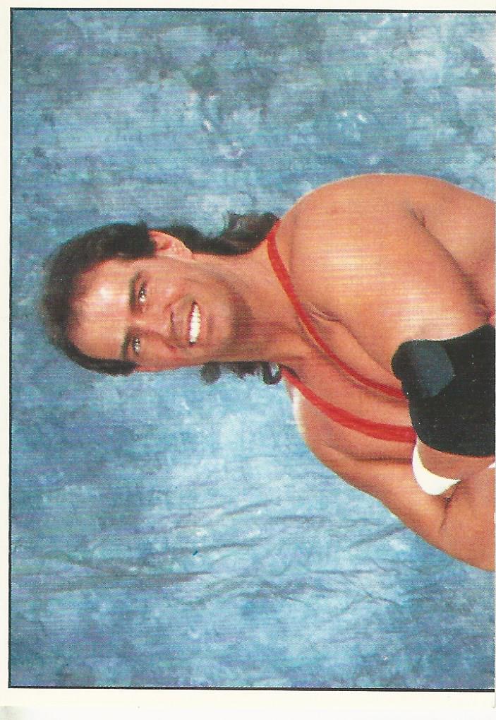 WWF Panini 1995 Sticker Collection Bob Holly No.169