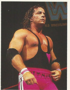 WWF Merlin Stickers 1991 Bret Hart No.169