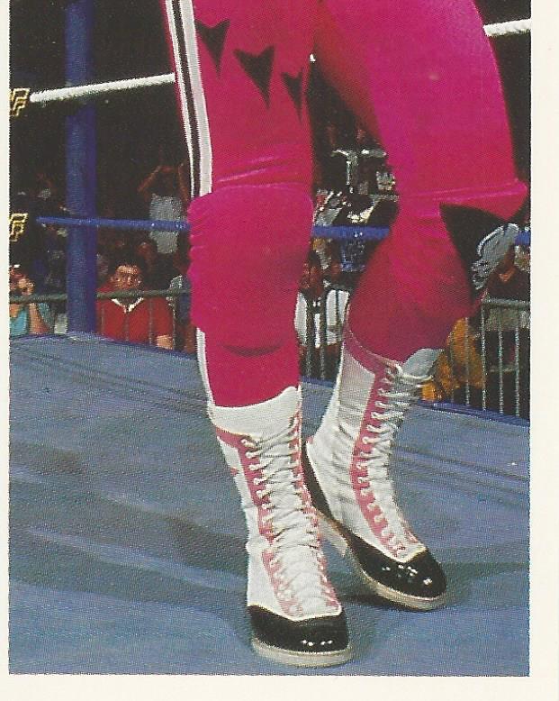 WWF Merlin Stickers 1991 Bret Hart No.170