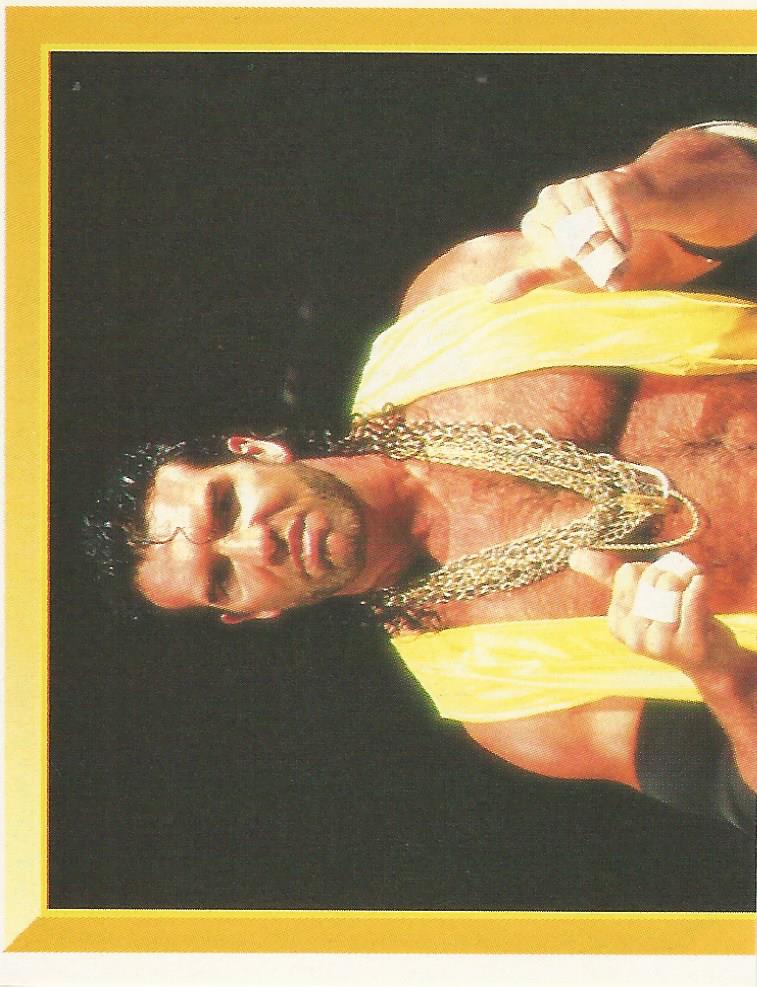 WWF Merlin Sticker Collection 1994 Razor Ramon No.171