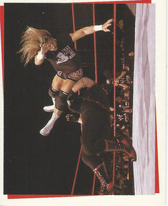 WWF Smackdown Stickers 2000 Al Snow No.171