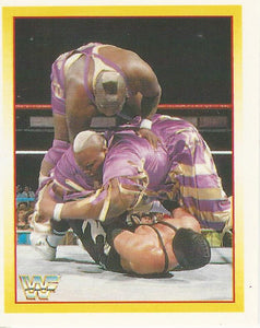 WWF Merlin Stickers 1995 Men on a Mission No.172