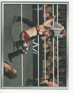 WWE Topps 2018 Stickers Ruby Riott No.173