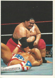 WWF Panini 1995 Sticker Collection Yokozuna No.175