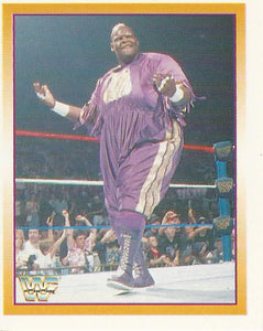 WWF Merlin Stickers 1995 Mabel No.177