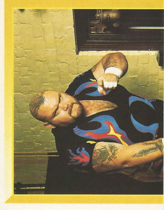 WWF Merlin Sticker Collection 1994 Bam Bam Bigelow No.178