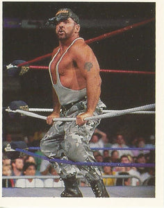 WWF Merlin Stickers 1992 Bushwhackers No.178