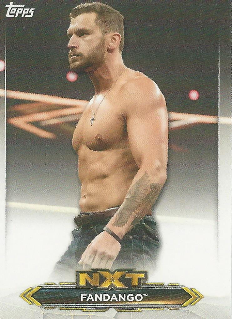 WWE Topps NXT 2020 Trading Cards Fandango No.17