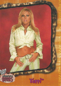 WWE Fleer Absolute Divas Trading Card 2002 Terri Runnels No.17