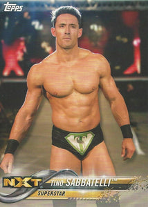 WWE Topps Then Now Forever 2018 Trading Cards Tino Sabbatelli No.180