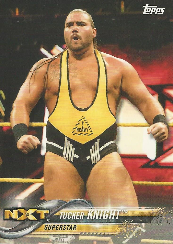 WWE Topps Then Now Forever 2018 Trading Cards Tucker No.182