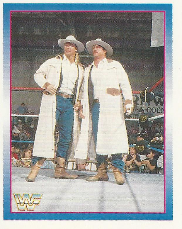 WWF Merlin Stickers 1995 Smoking Gunns No.184