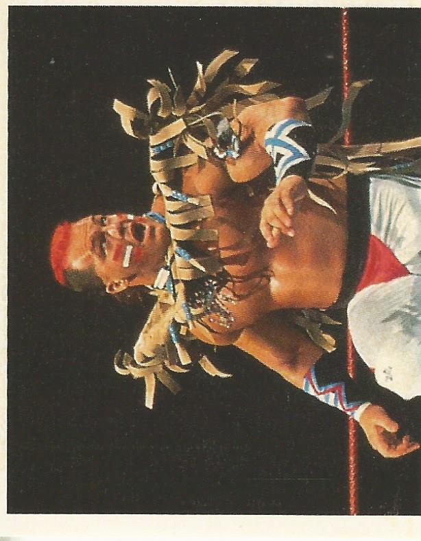 WWF Merlin Stickers 1992 Tatanka No.184