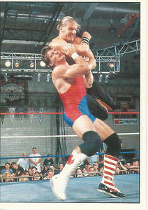 WWF Panini 1995 Sticker Collection Triple H No.184