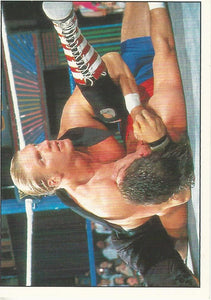 WWF Panini 1995 Sticker Collection Triple H No.185
