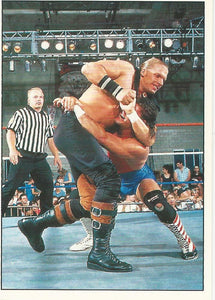 WWF Panini 1995 Sticker Collection Triple H No.186