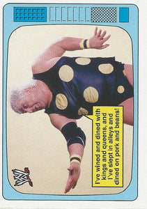 WWE Topps Heritage 2012 Trading Cards Superstars Speak Dusty Rhodes 7 of 20