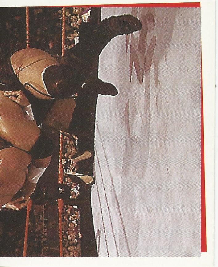 WWF Smackdown Stickers 2000 Rikishi No.186