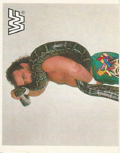 WWF Merlin Sticker Collection 1990 Jake the Snake Roberts No.187