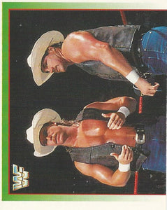 WWF Merlin Stickers 1995 Smoking Gunns No.187